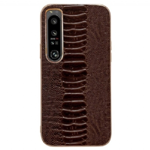 Etui do Sony Xperia 5 IV Skóra Naturalna W Stylu Krokodyla